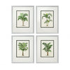 Eichholtz - Hampton Bay - Nederland - Print Palms set of 4