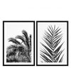 Eichholtz - Hampton Bay - Nederland - Print EC274 Palm Leaves set of 2